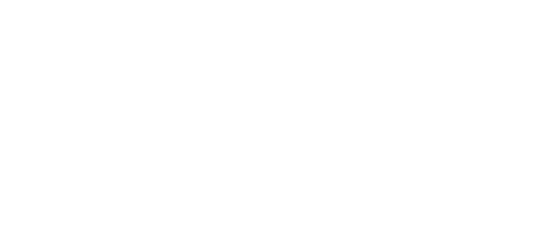 Cadeusix Healthcare Holdings, Inc.